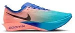 Nike Herren Streakfly 2 bunt 45.0