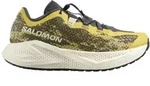 Salomon Herren Aero Glide 4 Gravel bunt 47.3