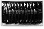Maurten Unisex Gel 100 - Karton (12 x 40g)