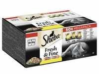 Sheba Mega Pack Fresh & Fine in Sauce mit Huhn, mit Geflügel, mit Truthahn 50 x 50g