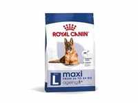 ROYAL CANIN SHN Maxi Ageing 8+ 15 kg