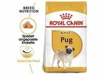 ROYAL CANIN Mops Adult 1,5 kg
