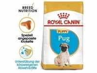 ROYAL CANIN Mops Puppy 1,5 kg