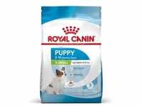 ROYAL CANIN X-Small Puppy 3 kg
