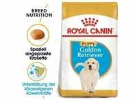ROYAL CANIN Golden Retriever Puppy 3 kg