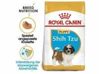 ROYAL CANIN Shih Tzu Puppy 1,5kg