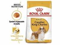 ROYAL CANIN Cavalier King Charles Adult 1,5 kg