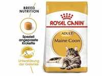 ROYAL CANIN Maine Coon Adult 4 kg