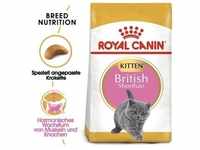 ROYAL CANIN British Shorthair Kitten 2 kg