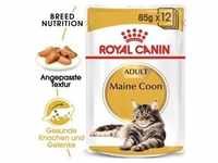 ROYAL CANIN Maine Coon Adult in Soße 12x85 g
