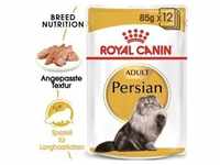 ROYAL CANIN Persian Adult 12x85g