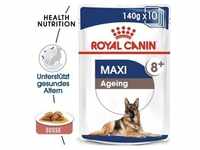 ROYAL CANIN Maxi Ageing 8+ in Soße 10x140g