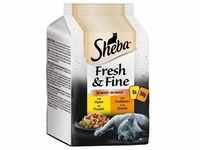 Sheba Multipack Fresh & Fine in Sauce 36x50g Huhn & Truthahn