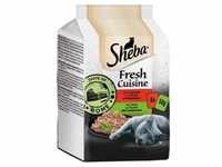 Sheba Multipack Fresh Cuisine 36x50g Taste of Rome