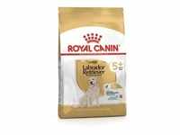 ROYAL CANIN Labrador Retriever 5+ Adult 12 kg