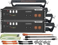 2x Pylontech US3000D LiFePO4 48V + Brackets + Anschlusskabel 7kWh Speicherpaket - 0%
