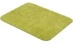 ASTRA ENTRA SAUGSTARK T&uuml;rmatte, 60 x 75 cm 0601035030 , Farbe: gr&uuml;n