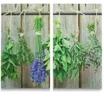 Zeller Kr&auml;uter Herdabdeck-/Schneideplatten-Set, 30 x 52 cm 26300 , Material: