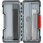 Bosch PRO Wood and Metal Rough Cut Set 100 mm - 2607011946
