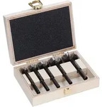 Bosch EXPERT Wood Forstnerbohrersatz 5tlg. - 2608901843