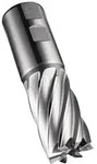 Schaftfr&auml;ser C247 DIN 844 K D.28mm Schneiden-L.45mm HSS-E-PM Blank 30Grad Z.6