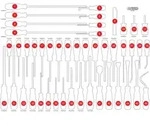 KS TOOLS leere Schaumstoffeinlage zu 821.0046 - 821.0046-97