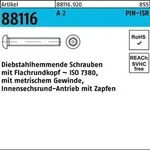 Schraube R 88116 diebstahlhemmend ISR Zapfen M10x 30-T45 A 2 100 St&uuml;ck