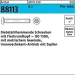 Schraube R 88113 diebstahlh. Innen-6kt Zapfen M6x 30 A 2 100 St&uuml;ck