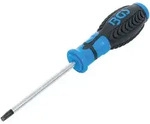 BGS Schraubendreher T-Profil (f&uuml;r Torx) T30 Klingenl&auml;nge 100 mm - 4922