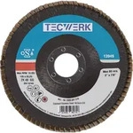 F&auml;cherscheibe D.125mm K.80 fl.INOX ZK TECWERK