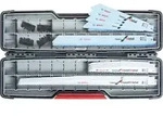 Bosch S&auml;bels&auml;geblatt-Set Demolition Heavy for Wood and Metal in Tough Box 16tlg. -