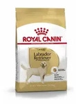 Royal Canin Breed Labrador Retriever | 12kg Hundefutter