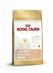 Royal Canin Labrador Junior | 12kg Welpenfutter