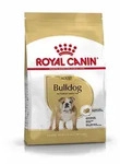 Royal Canin Bulldog Adult | 12kg Hundefutter trocken
