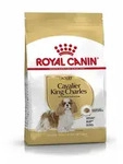 Royal Canin Cavalier King Charles | 1,5kg Hundefutter