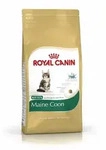 Royal Canin Feline Kitten Maine Coon 36 | 400g K&auml;tzchenfutter