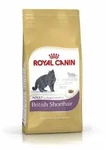 Royal Canin British Shorthair | 4kg Katzenfutter f&uuml;r Rassekatzen