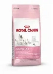 Royal Canin Babycat | 400g Katzenwelpenfutter 1-4 Monate