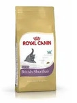 Royal Canin Kitten British Shorthair | 2kg Katzenfutter