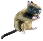 Hunter Hundespielzeug Wildlife Rat | Gr&ouml;&szlig;e M