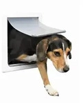 Trixie 2 Wege Freilauft&uuml;r f&uuml;r Hunde | S bis M, wei&szlig;