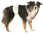 Trixie R&uuml;denwindeln M-L 46-60 cm | 12 St&uuml;ck Hundewindeln