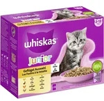 Whiskas Junior Gefl&uuml;gel Auswahl in Gelee | 48x 85g
