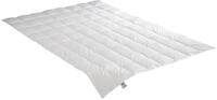 Irisette Daunensteppbett Nora leicht 03 622 050 154