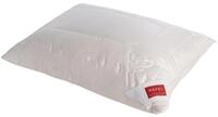 Hefel Pure Silk Kissen 4666K