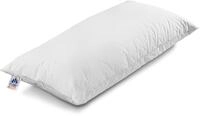 Irisette Visco-3-Kammer-Kissen Theo 03 670 850 108