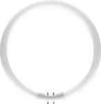 Philips 64095625, Philips Leuchtstofflampe MASTER TL5 CIRCULAR 22W/830,