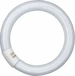 Osram Leuchtstofflampe L 22W/865 C G10Q, Energieeffizienzklasse: G