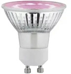 Paulmann LED-Pflanzenlampe Wachstum 230V GU10 3.5W Bernstein 1St.
