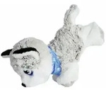 ChiChi Love Happy Husky